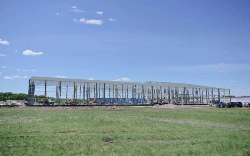 N Kazakhstan to commission alfalfa processing plant with capacity up to 60,000 tons