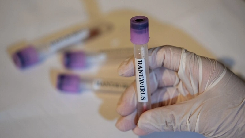 EU obtains experimental antivirals for Hantavirus response