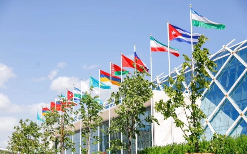 EAEU flags