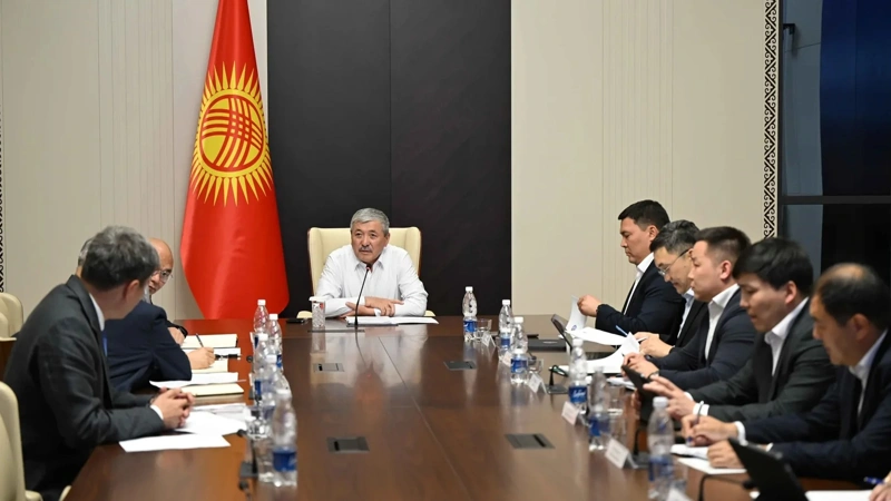 Chinese investors eye geological exploration in Kyrgyzstan