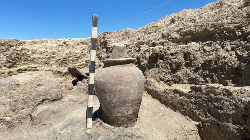Precious artifacts emerge from ruins of ancient Zharkent settlement 