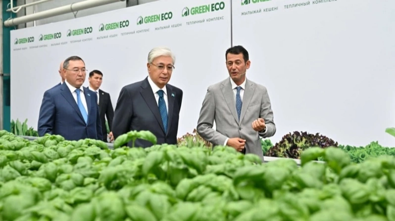 Давлат раҳбари GREEN ЕСО иссиқхона мажмуаси билан танишди