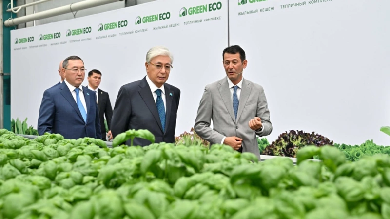Мемлекет басшысы GREEN ЕСО жылыжай кешенімен танысты 