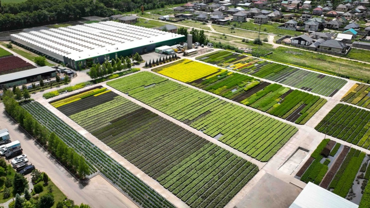 Мемлекет басшысы GREEN ЕСО жылыжай кешенімен танысты 