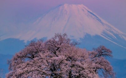 Mount Fuji grapples with tourism surge, safety risks, and environmental strain
