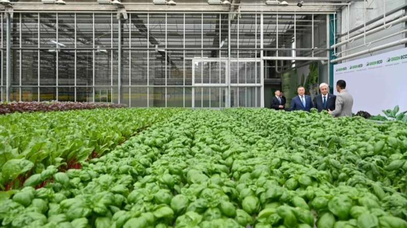 Давлат раҳбари GREEN ЕСО иссиқхона мажмуаси билан танишди