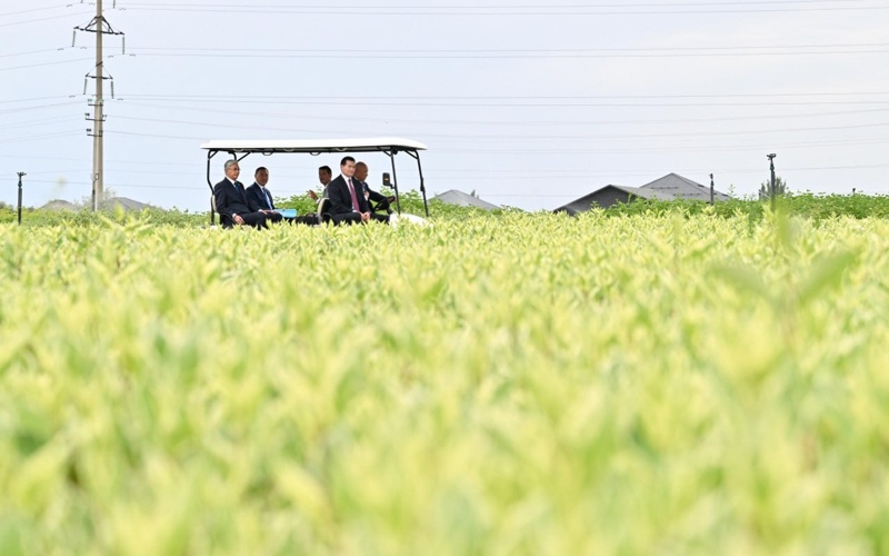 Head of State tours GREEN ECO greenhouse complex 
