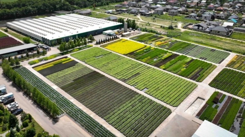 Давлат раҳбари GREEN ЕСО иссиқхона мажмуаси билан танишди