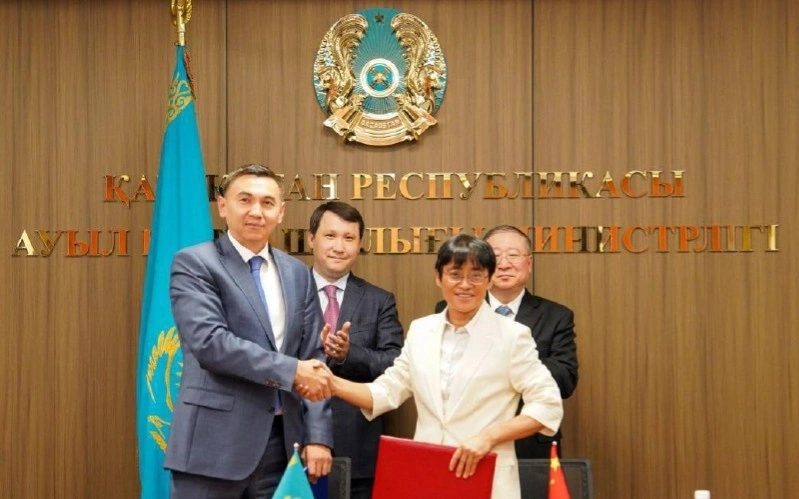 в