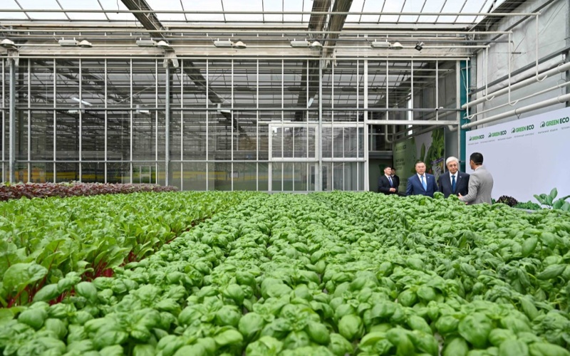 Head of State tours GREEN ECO greenhouse complex 