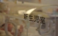 т