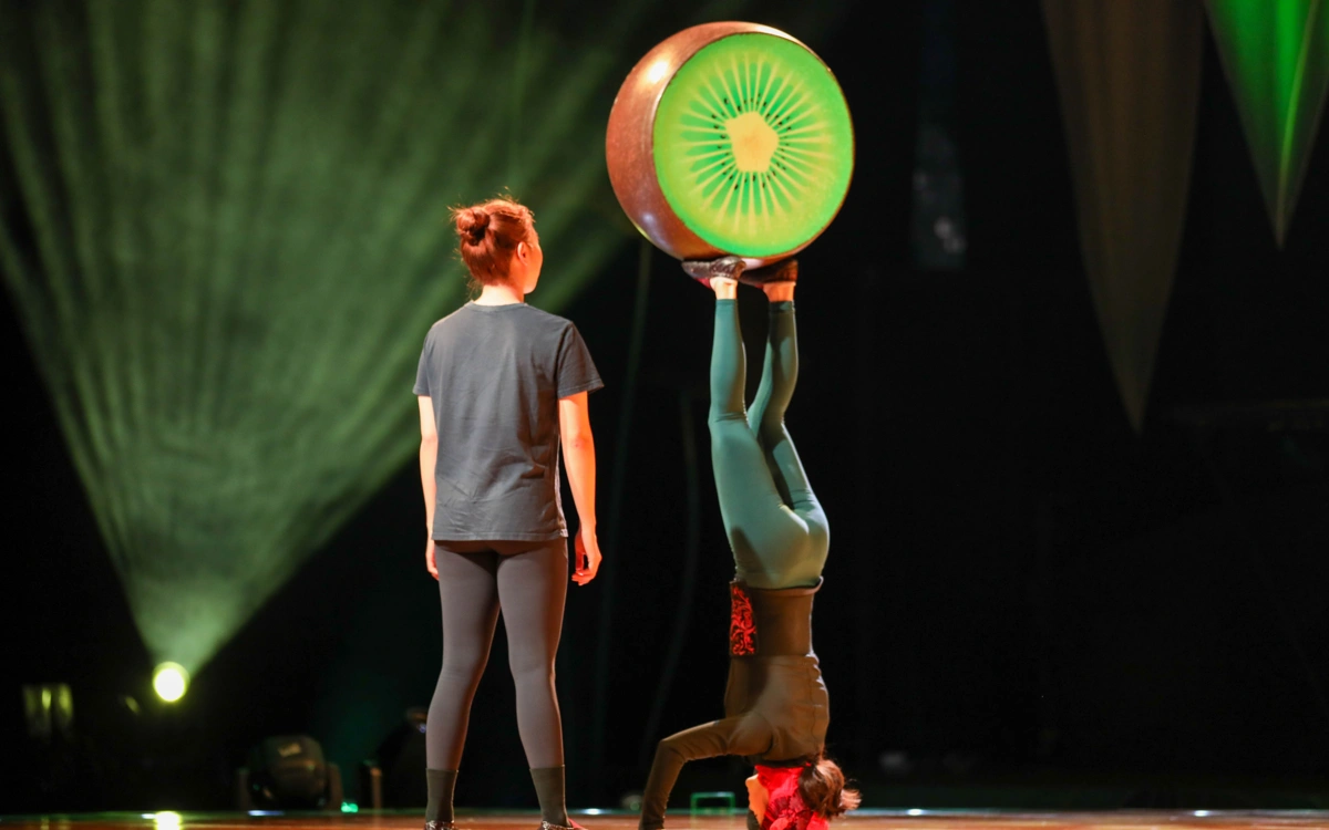 Артисты Cirque du Soleil раскрыли детали шоу OVO в Астане