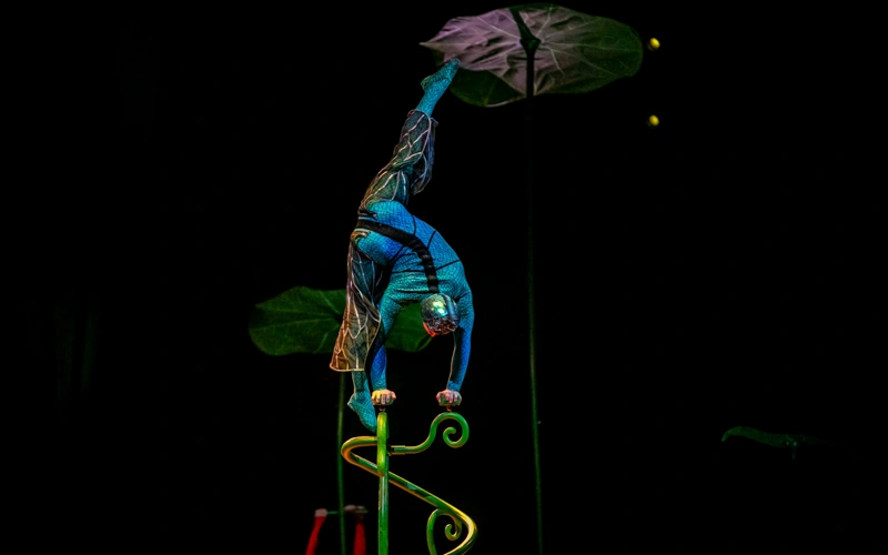 Cirque du Soleil 