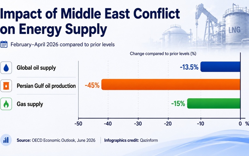 OECD, economy, Middle East, energy supply, politics