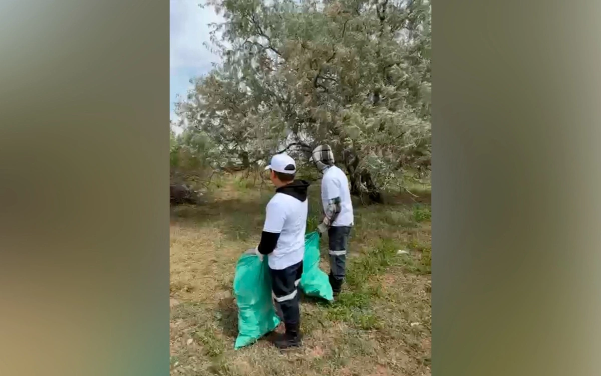 Таза Қазақстан: в области Улытау прошли экологические челленджи