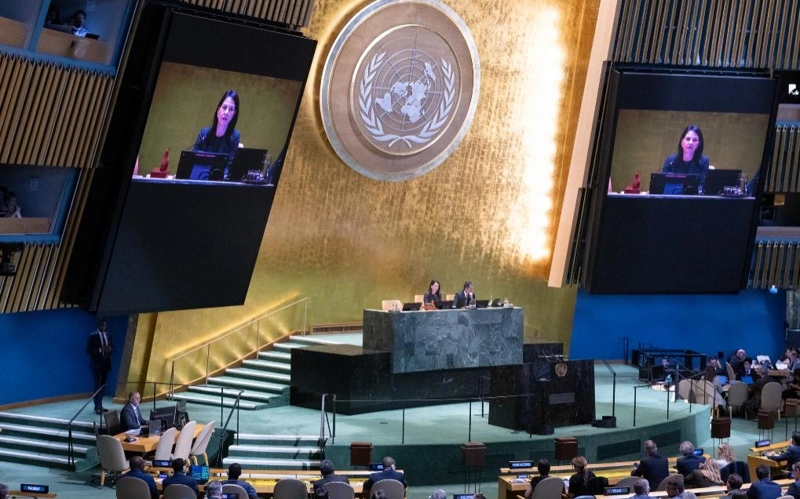 Five countries elected non-permanent members to UN Security Council
