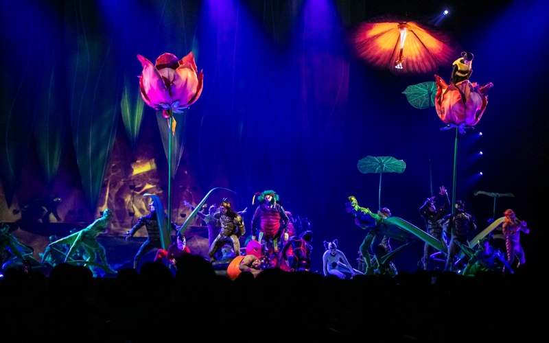 Cirque du Soleil brings OVO world premiere to Astana