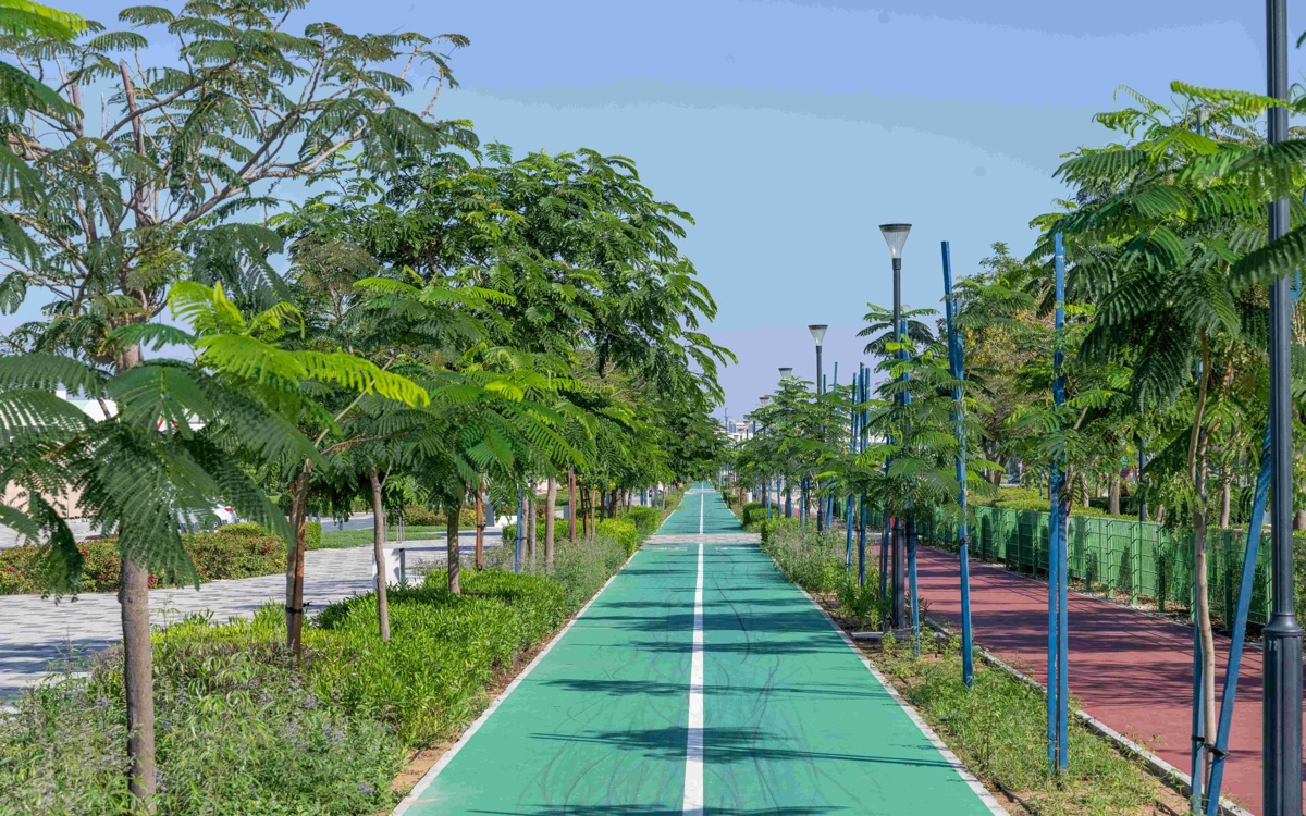 Abu Dhabi to boost urban comfort with 5,000 new trees