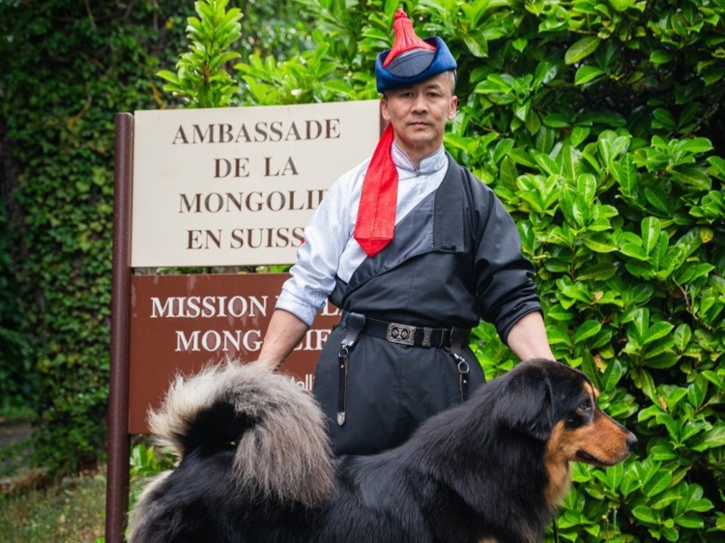 Mongolia showcases Bankhar dog breed and nomadic traditions