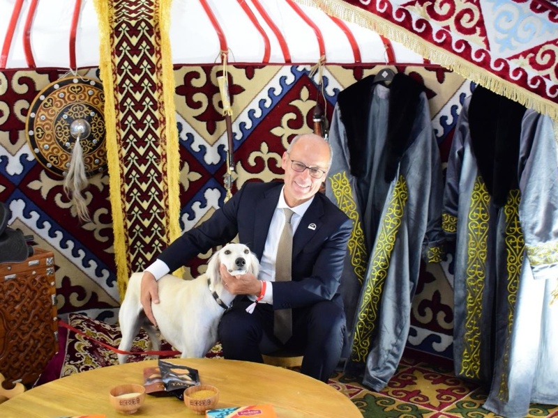 Kazakhstan brings record number of Tazy dogs to World Dog Show 2026 in Bologna