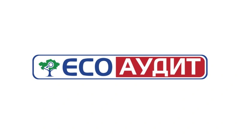 ekoaýdıt