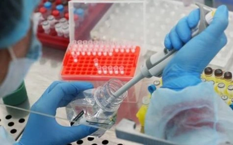 Әлем көшбасшылары пандемияға дайындықты күшейтуге уағдаласты