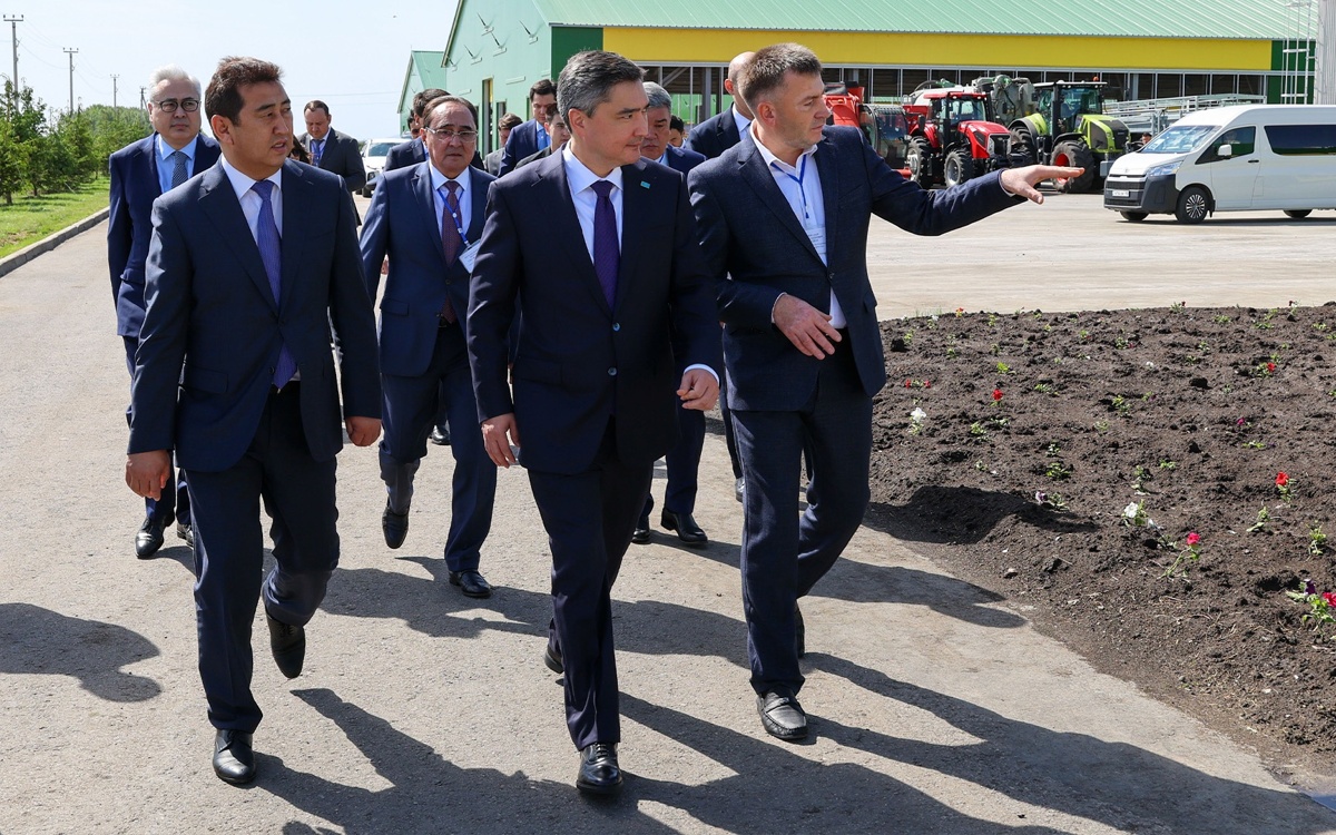 118 dairy farms operate in North Kazakhstan region
