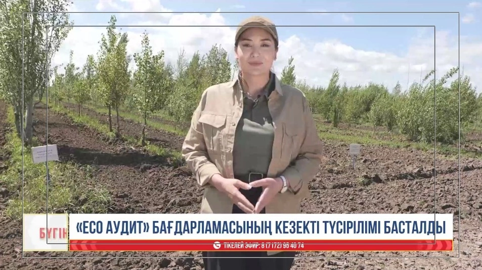 в