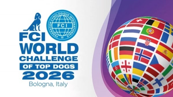 Kazakhstan brings record number of Tazy dogs to World Dog Show 2026 in Bologna