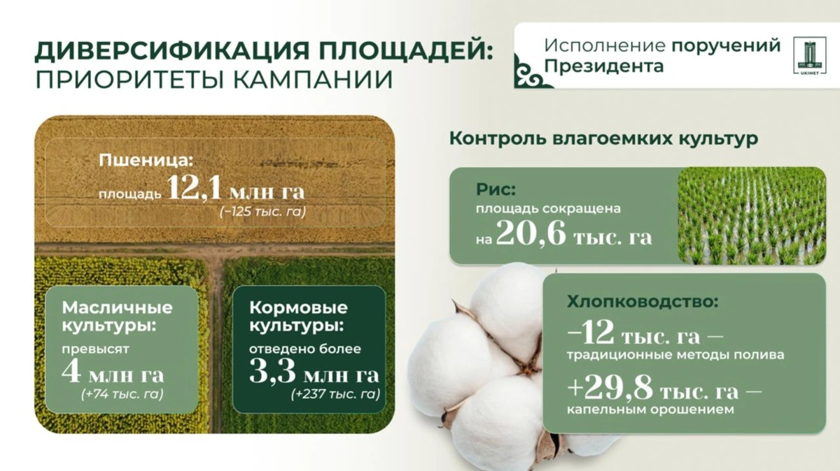Посевная кампания завершилась в Казахстане: площадь посевов увеличилась на 180 тысяч гектаров