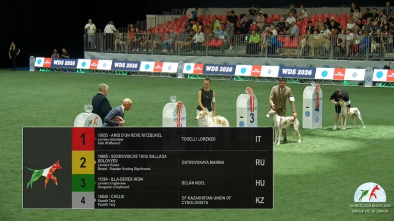 This is a dog of the entire Kazakh nation &ndash; owner of Chelsea the Tazy on triumph in Italy