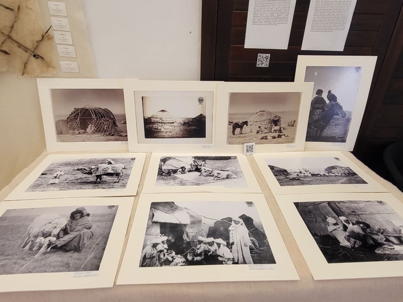 Kazakh artist showcases ‘The Spirit of the Steppe’ exhibition in Italy ‘The Spirit of the Steppe’ exhibition in Italy