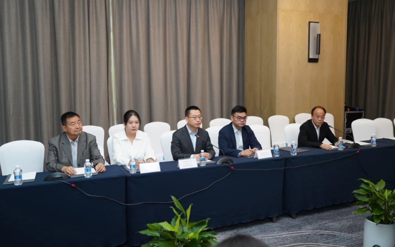 Turkistan region eyes glass plant, wind farm in talks with Chinese investors