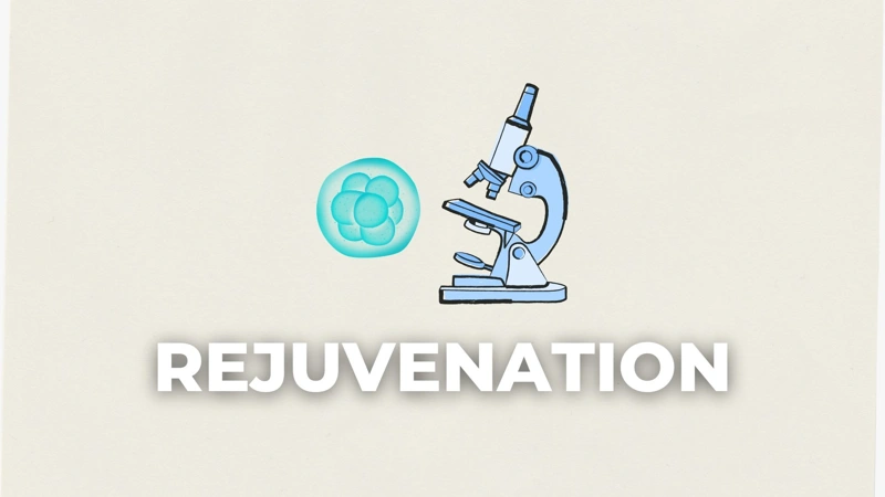 Cell rejuvenation