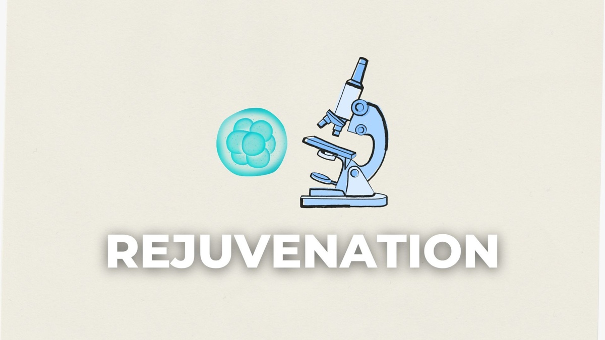 Scientists launch first cell rejuvenation trial