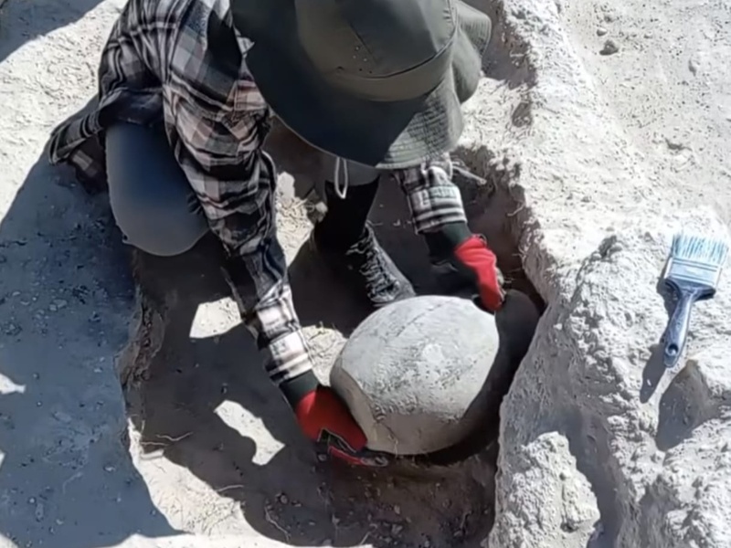 Rare 6th-century artifact emerges at Karakabak archaeological site in Kazakhstan Rare 6th-century artifact emerges at Karakabak archaeological site in Kazakhstan