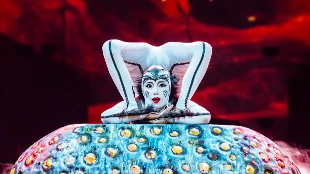 OVO by Cirque Du Soleil баспасөз қызметі