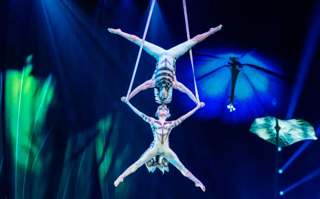 OVO by Cirque Du Soleil баспасөз қызметі