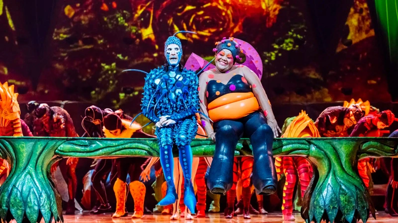 OVO by Cirque Du Soleil баспасөз қызметі