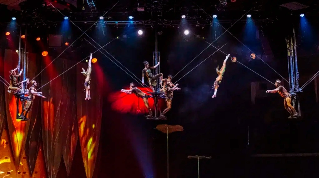 OVO by Cirque Du Soleil баспасөз қызметі