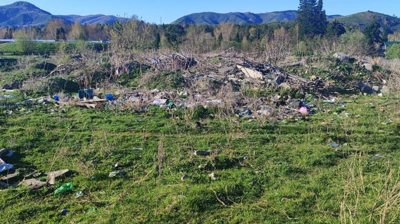 «Taza Qazaqstan»: ShQO-da bıyl 4,4 myńnan astam quqyqbuzýshylyq anyqtaldy