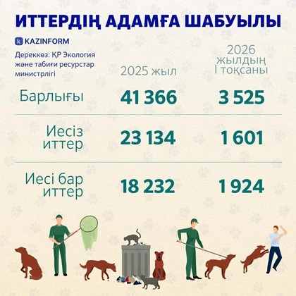 Иесіз жануарлар: мәселе жануарда ма, жауапкершілікте ме