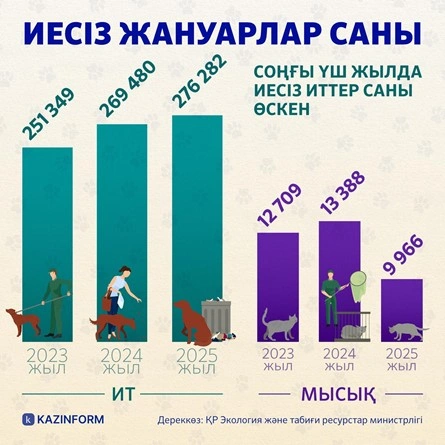 Иесіз жануарлар: мәселе жануарда ма, жауапкершілікте ме