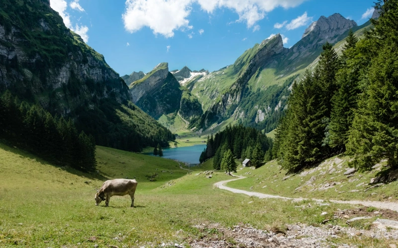 Switzerland, Swiss, population 