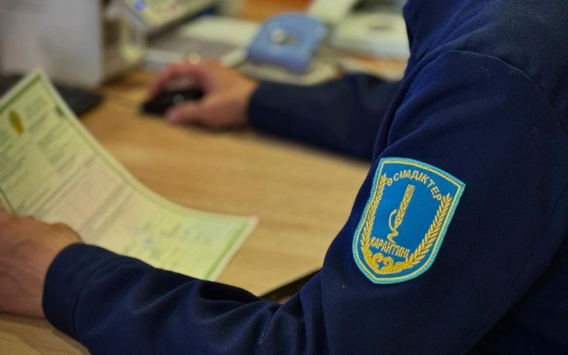 Незаконный ввоз 113 тонн мяса и кормов для рыб пресечен на границе РК с Китаем