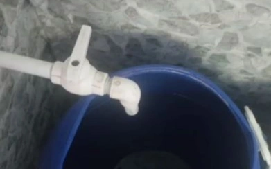 в