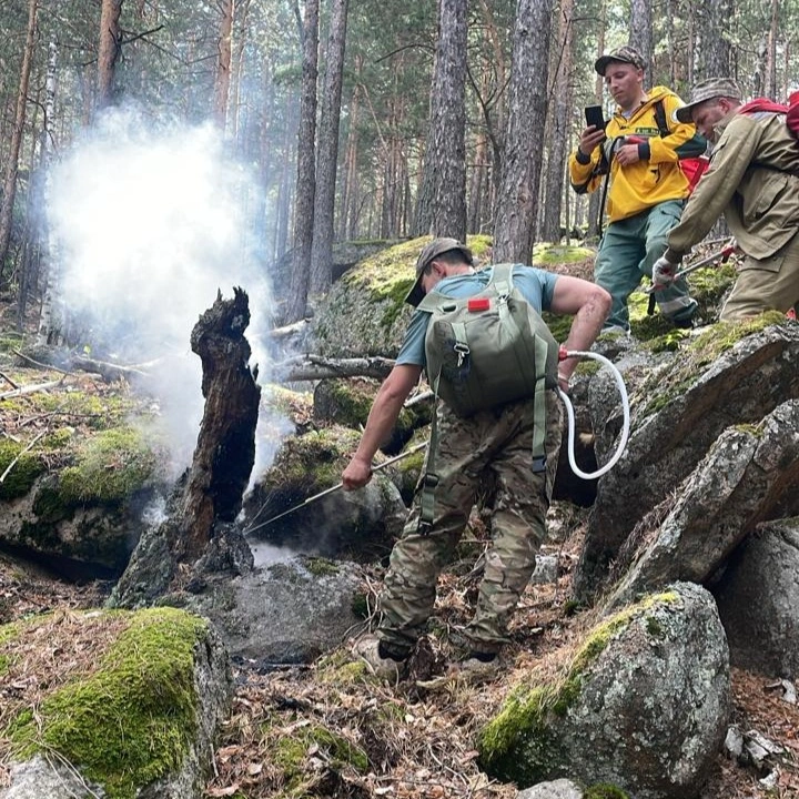 Лесной пожар оперативно потушили в нацпарке &laquo;Бурабай&raquo;