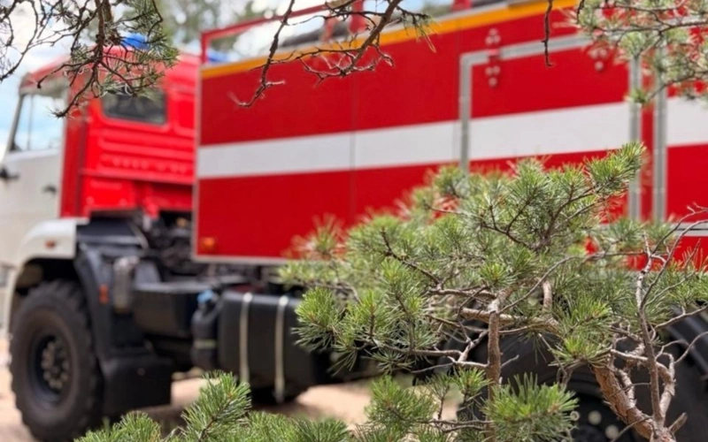 Бурабай орманында найзағайдан өрт шықты