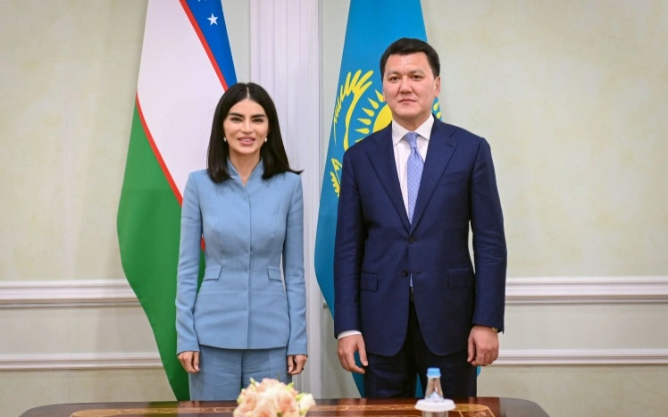 Госсоветник Ерлан Карин встретился с Саидой Мирзиёевой