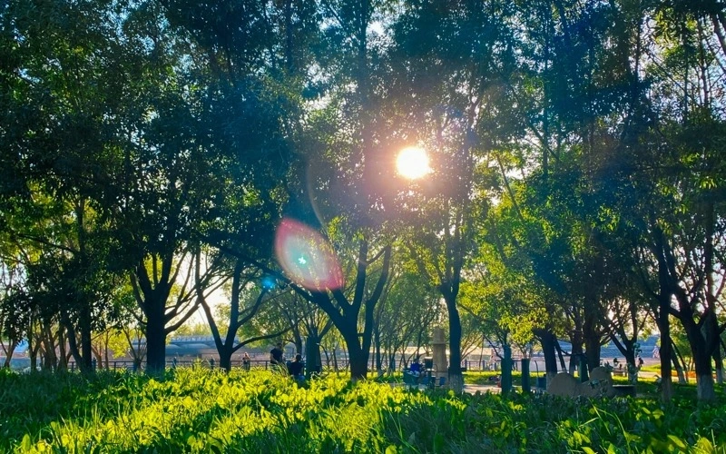 Strong heatwave to bake south of Kazakhstan